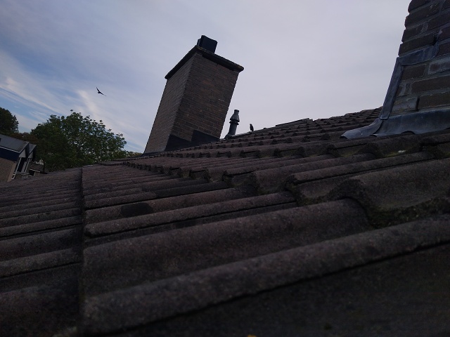 IMG 20240929 141439710