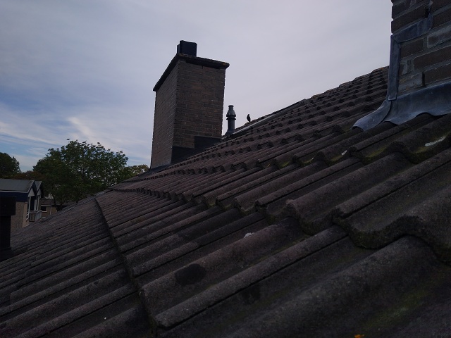 IMG 20240929 141444326