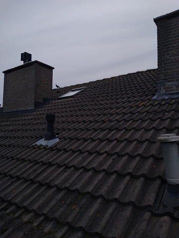 IMG 20240929 142036687