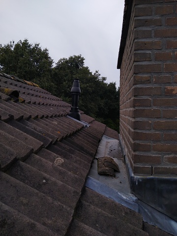 IMG 20240929 142857991