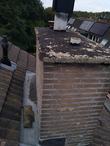 IMG 20240929 142944835